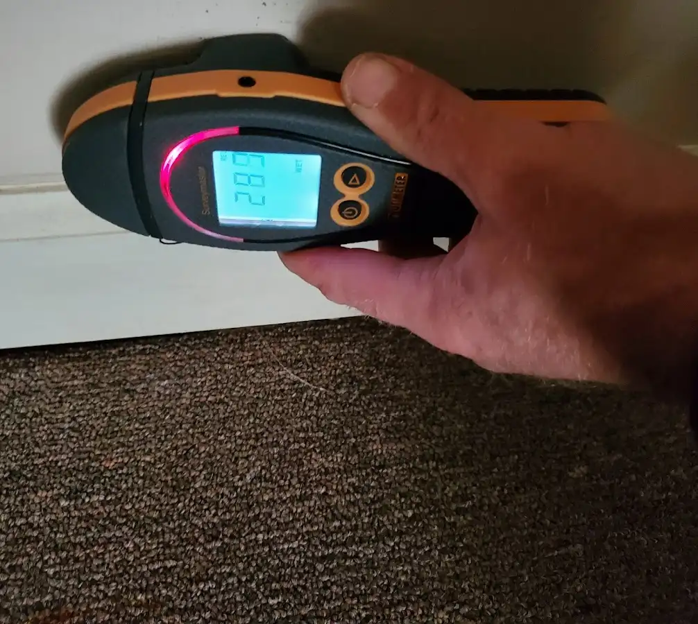 Moisture detection at baseboard during Mold Inspection & Testing in Great Falls